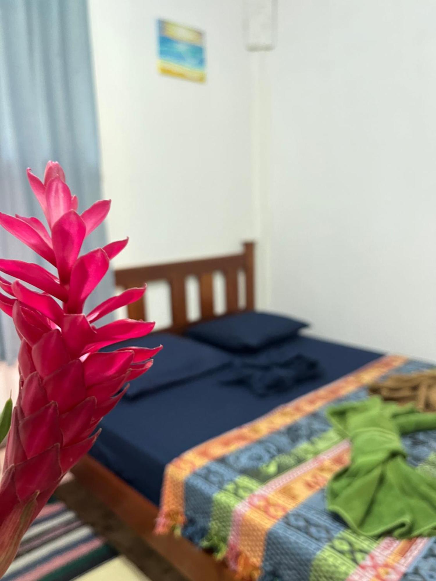 Surf Camp Hotel Bocas Town Exterior foto