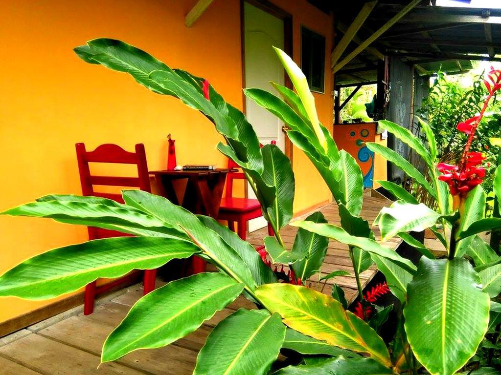 Surf Camp Hotel Bocas Town Exterior foto